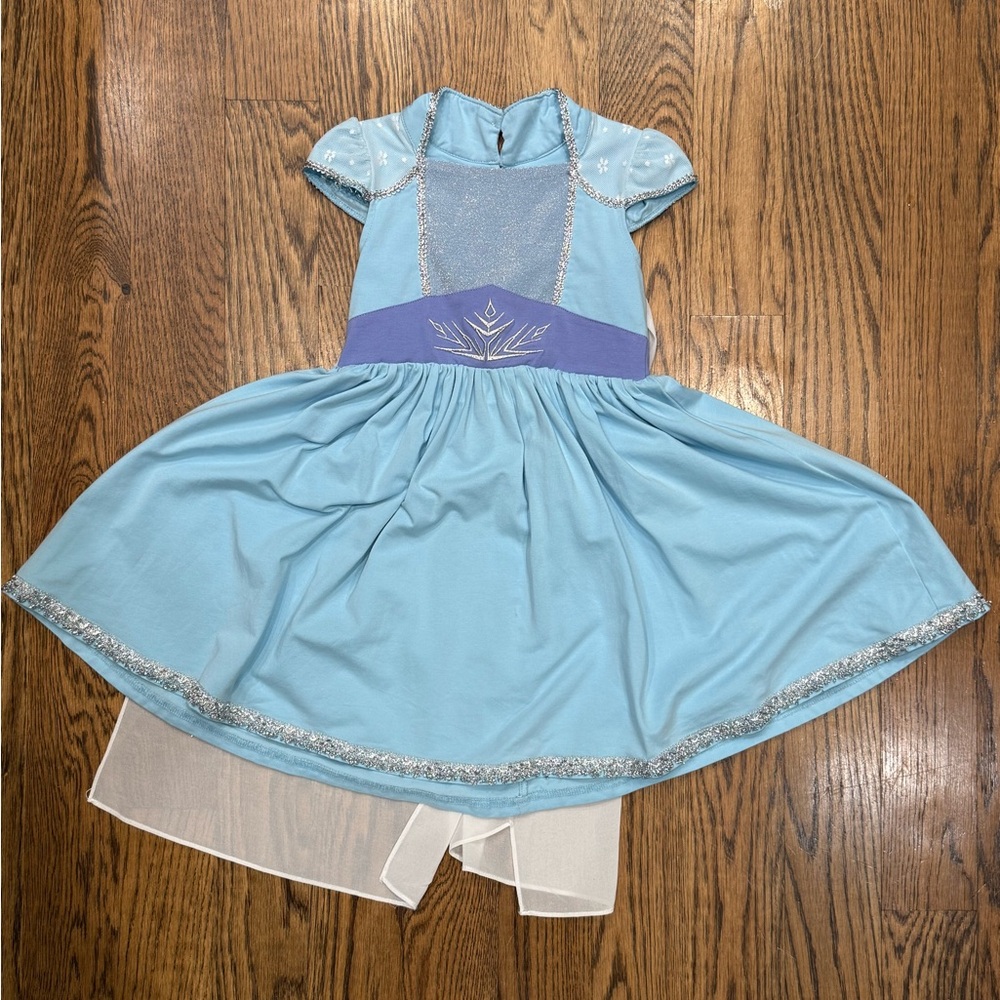 Only Little Once Princess Elsa Dress size 5